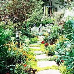 流行花园在线观看,青春校园浪漫剧在线观看，重温甜蜜校园时光  第3张