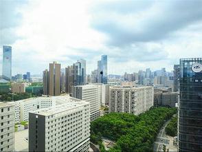 深圳办公楼爆料事件最新,揭秘职场隐秘角落的真相与争议  第1张