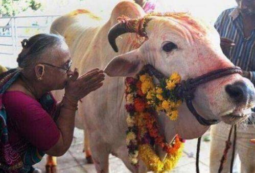 越牛新闻上爆料如何分享  第1张